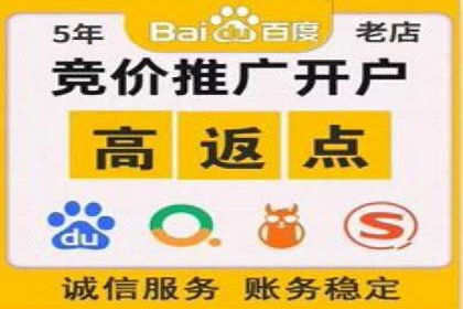 百度竞价广告案例分析：成功之道揭秘